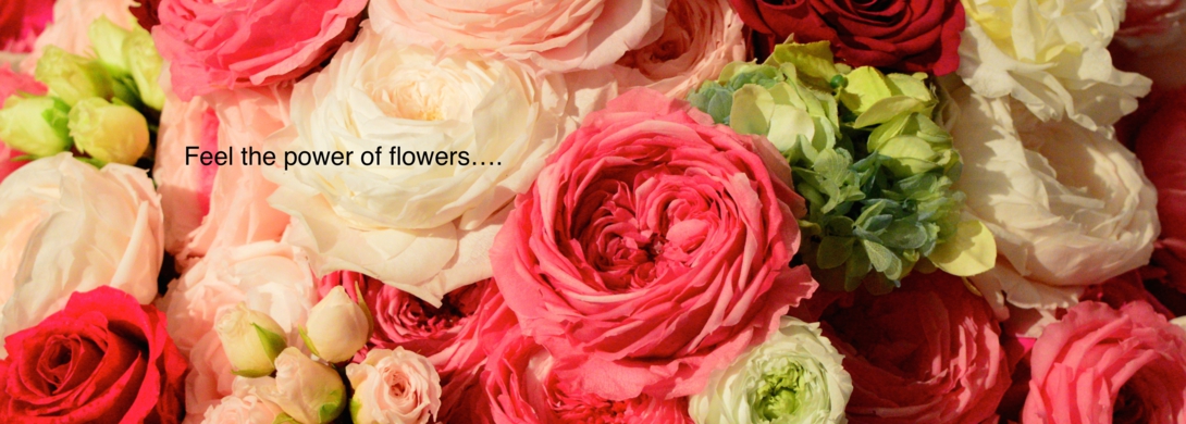 flowers.jpg